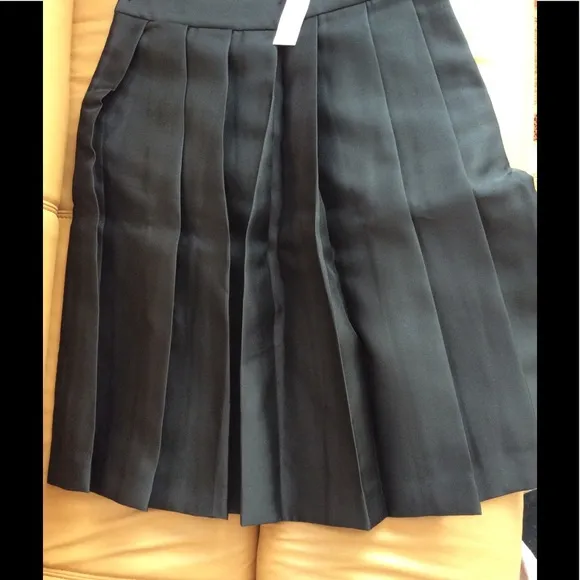 Ann Taylor pleated taffeta skirt