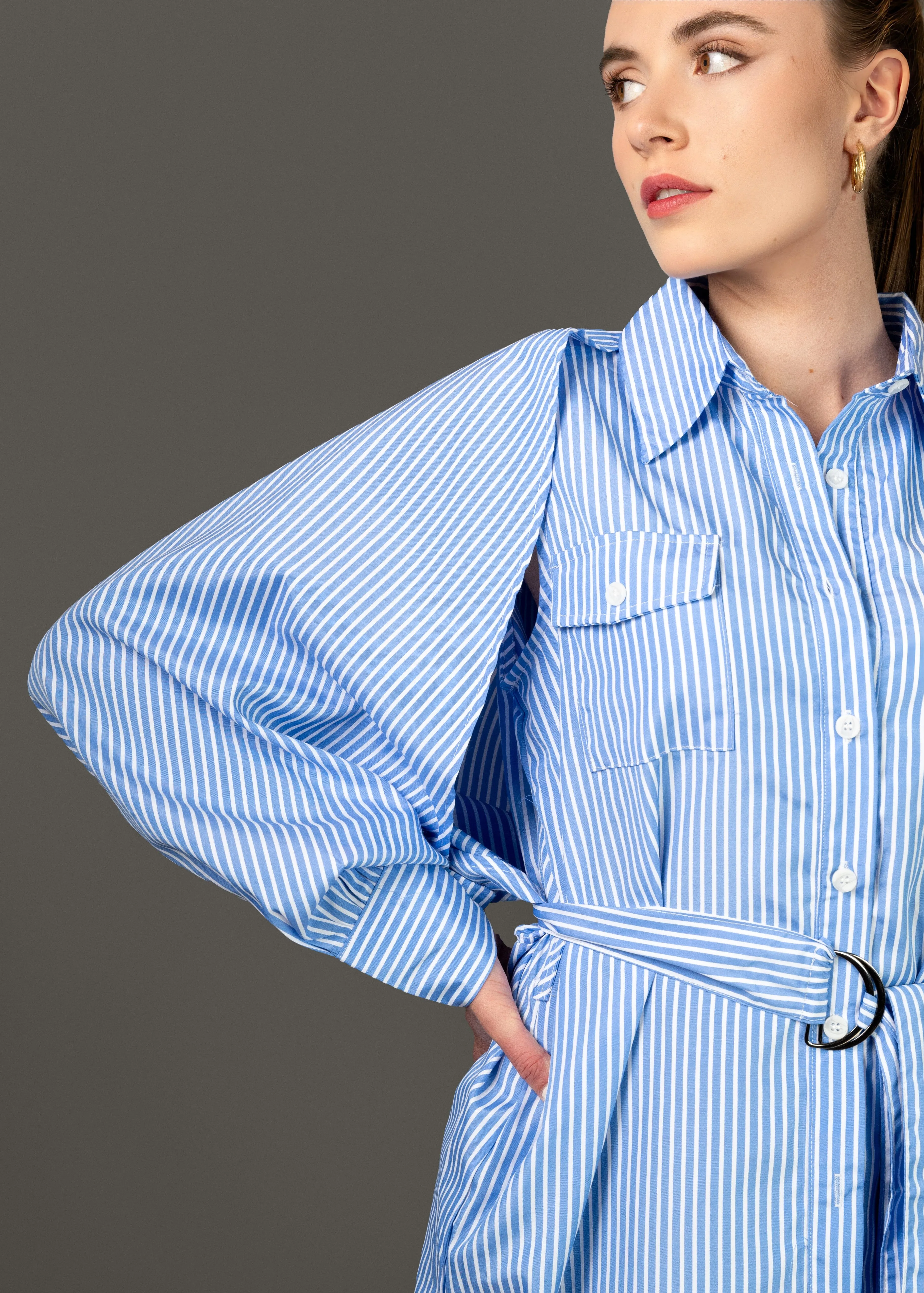 Belted Striped Shirt Dress