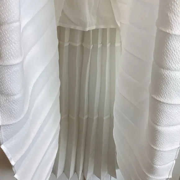 Caballero Mia Pleated Mesh Panel Skirt Anthropologie