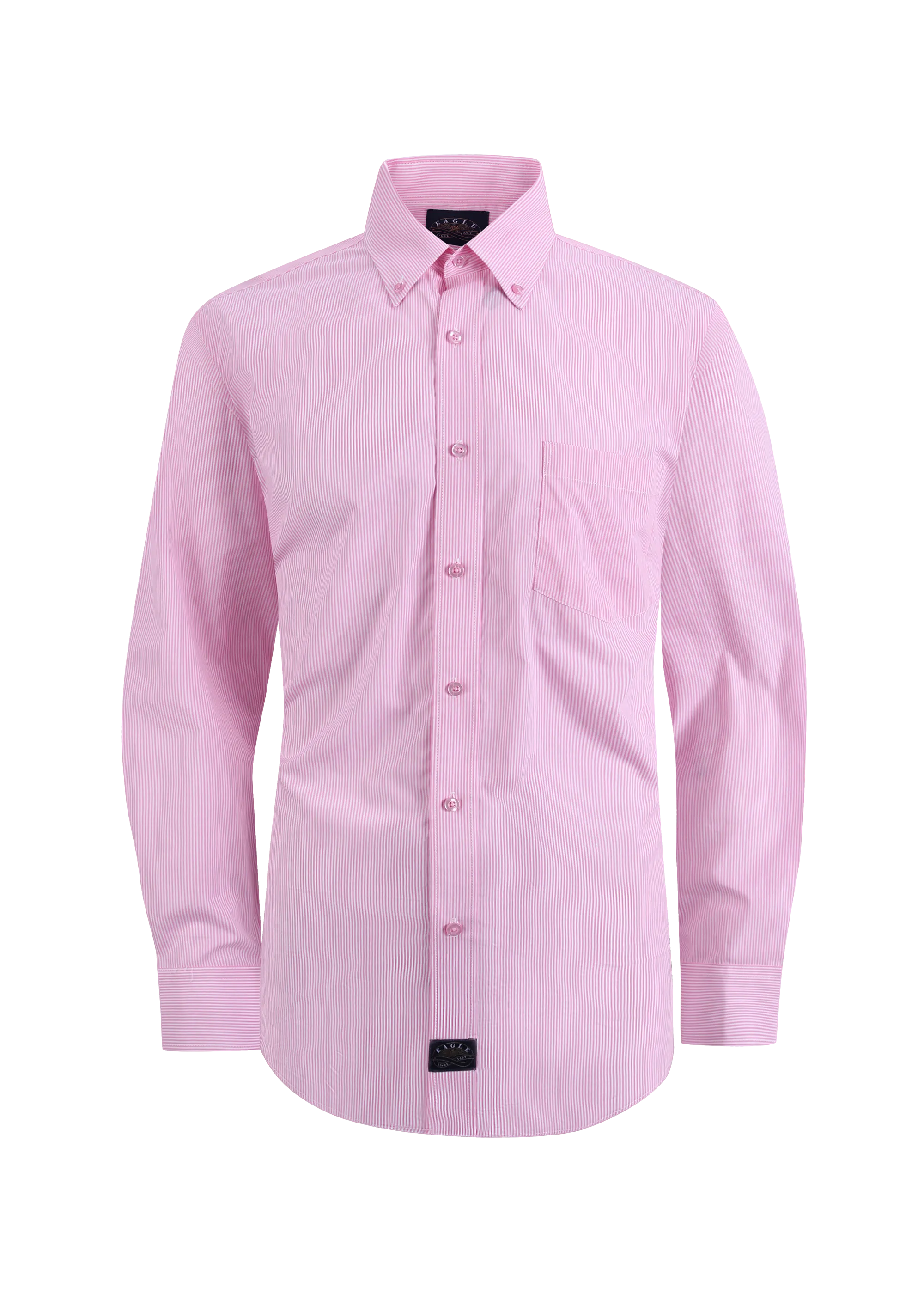 Eagle Stretch Neck Striped Poplin Shirt