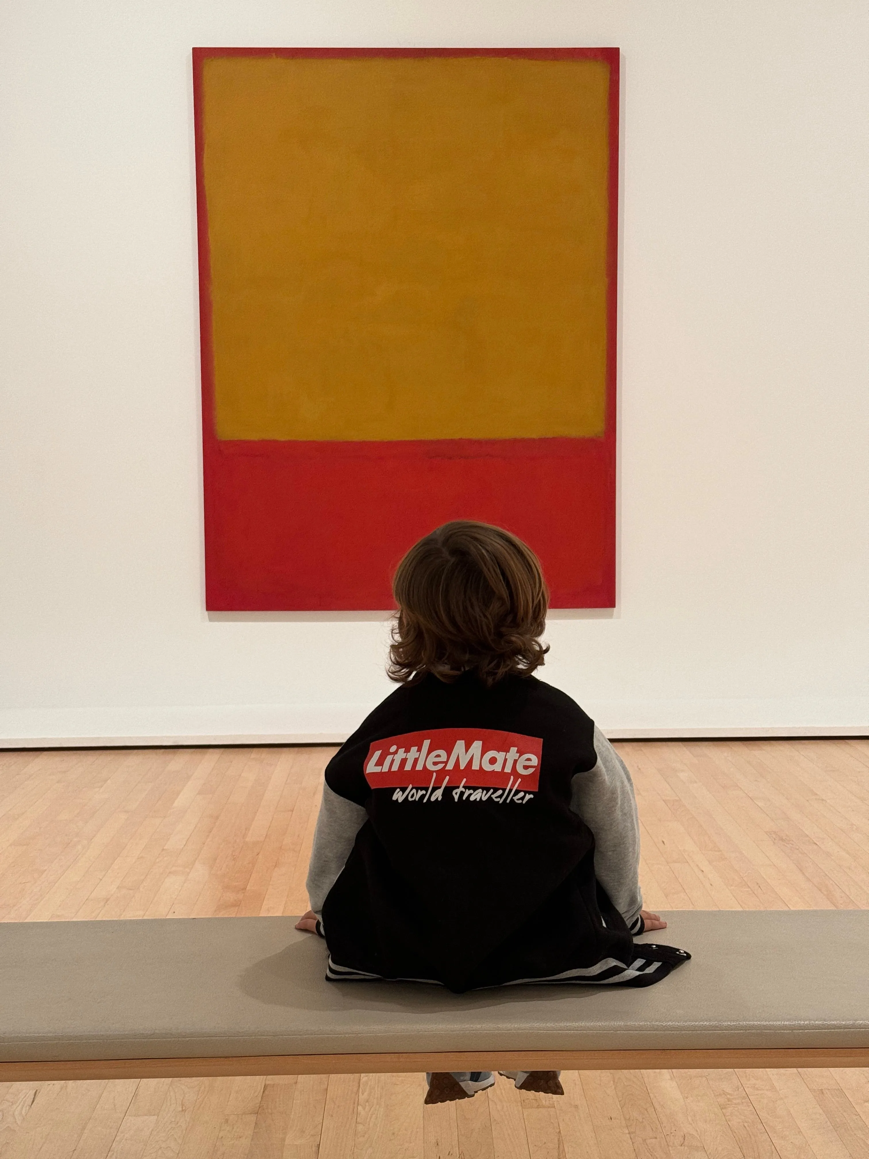 LITTLE MATE WORLD TRAVELLER - Kid’s Varsity Jacket