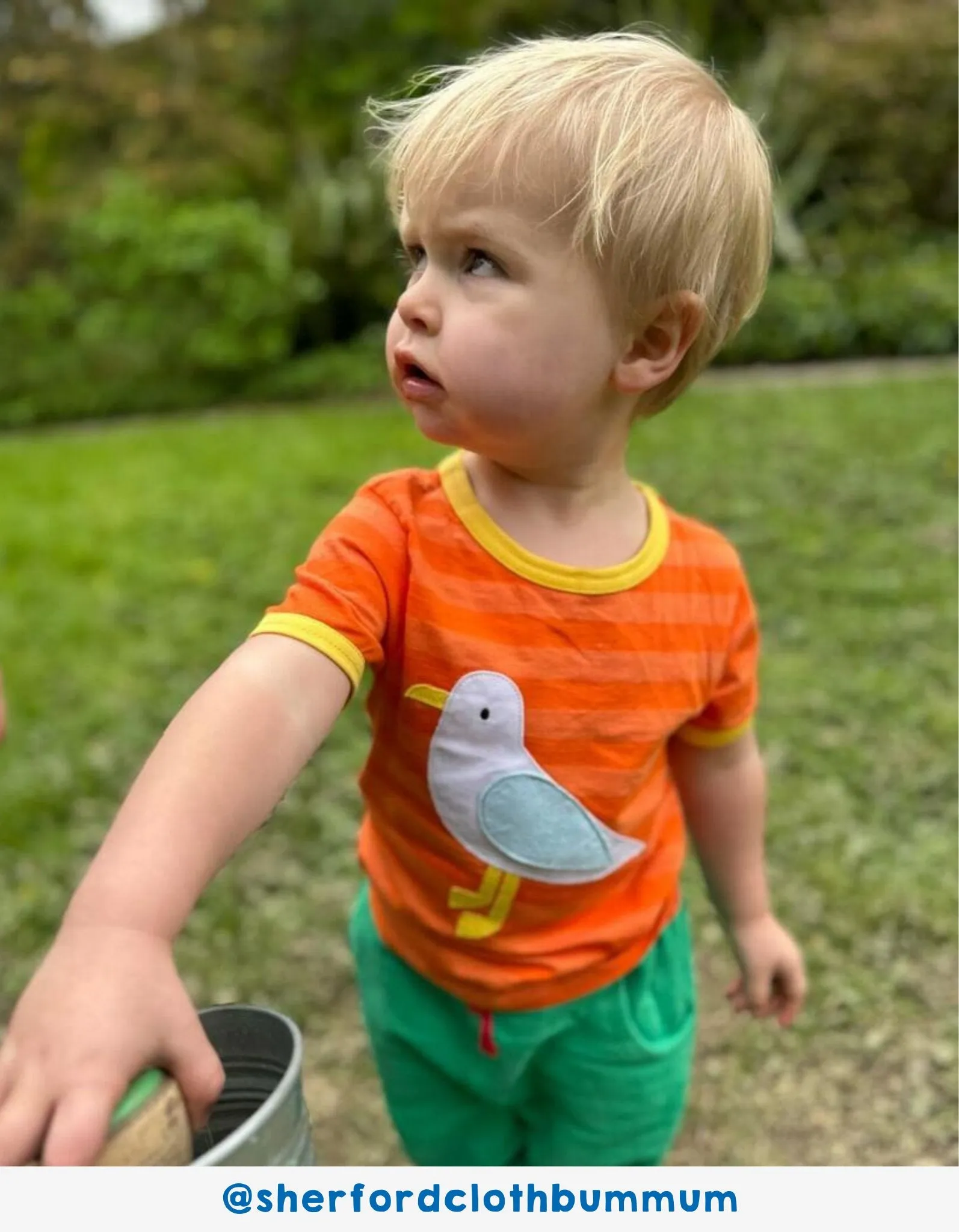 Organic Striped Seagull Applique T-shirt
