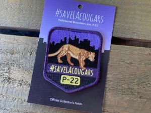 P-22 Patch