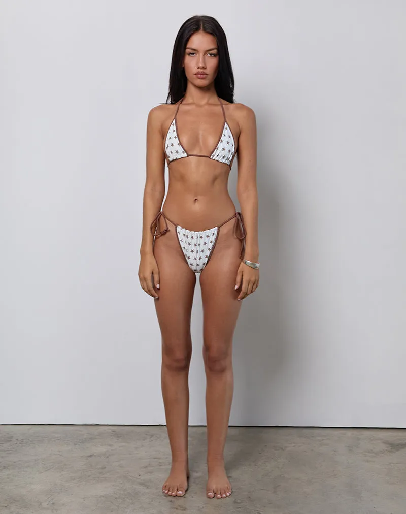 Pami Bikini Top in White and Brown Star Print with Contrast Binding