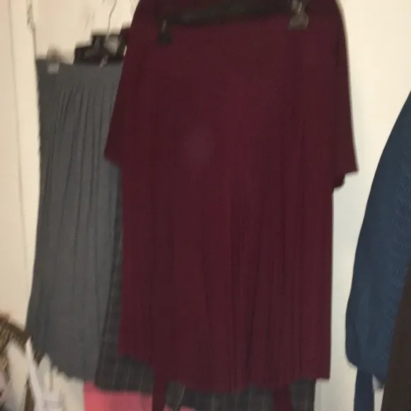 Paniz burgundy pleated skirt, A-line, 18
