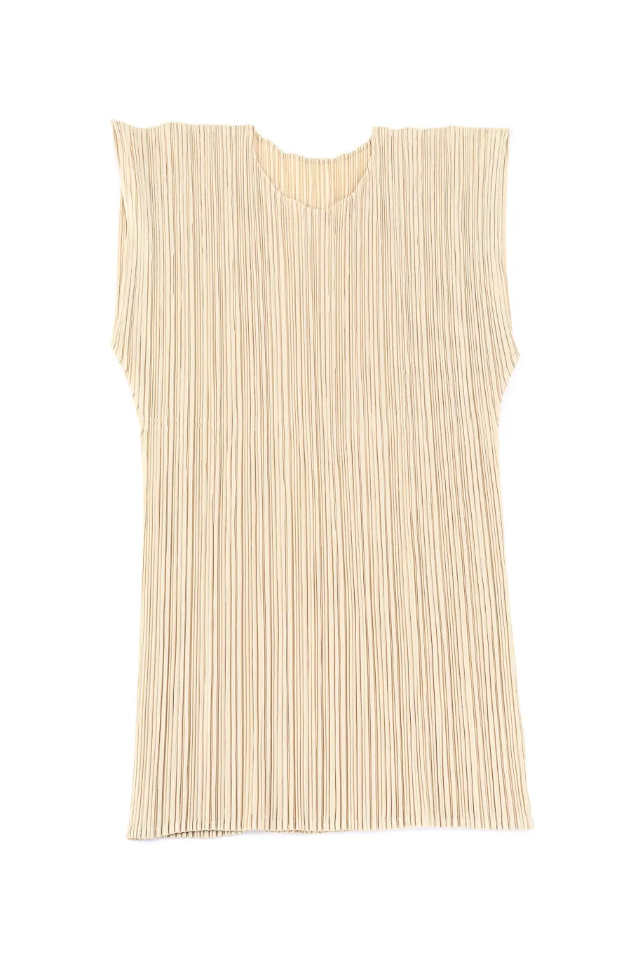 Pleated Two Piece Set