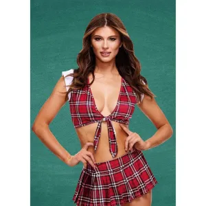 TEACHERS PET Schoolgirl Crop Top & Skirt - M/L