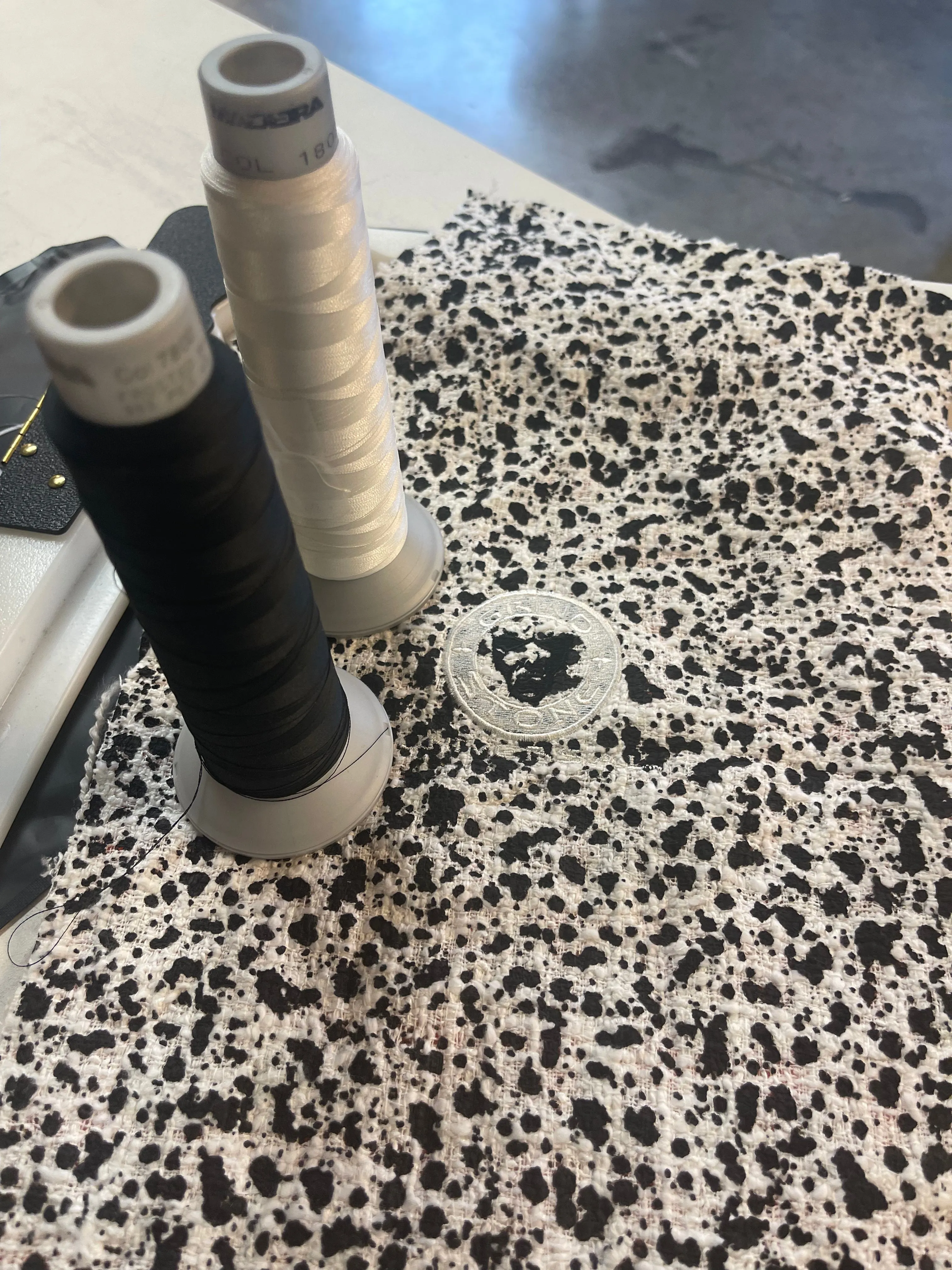 The Dalmatian