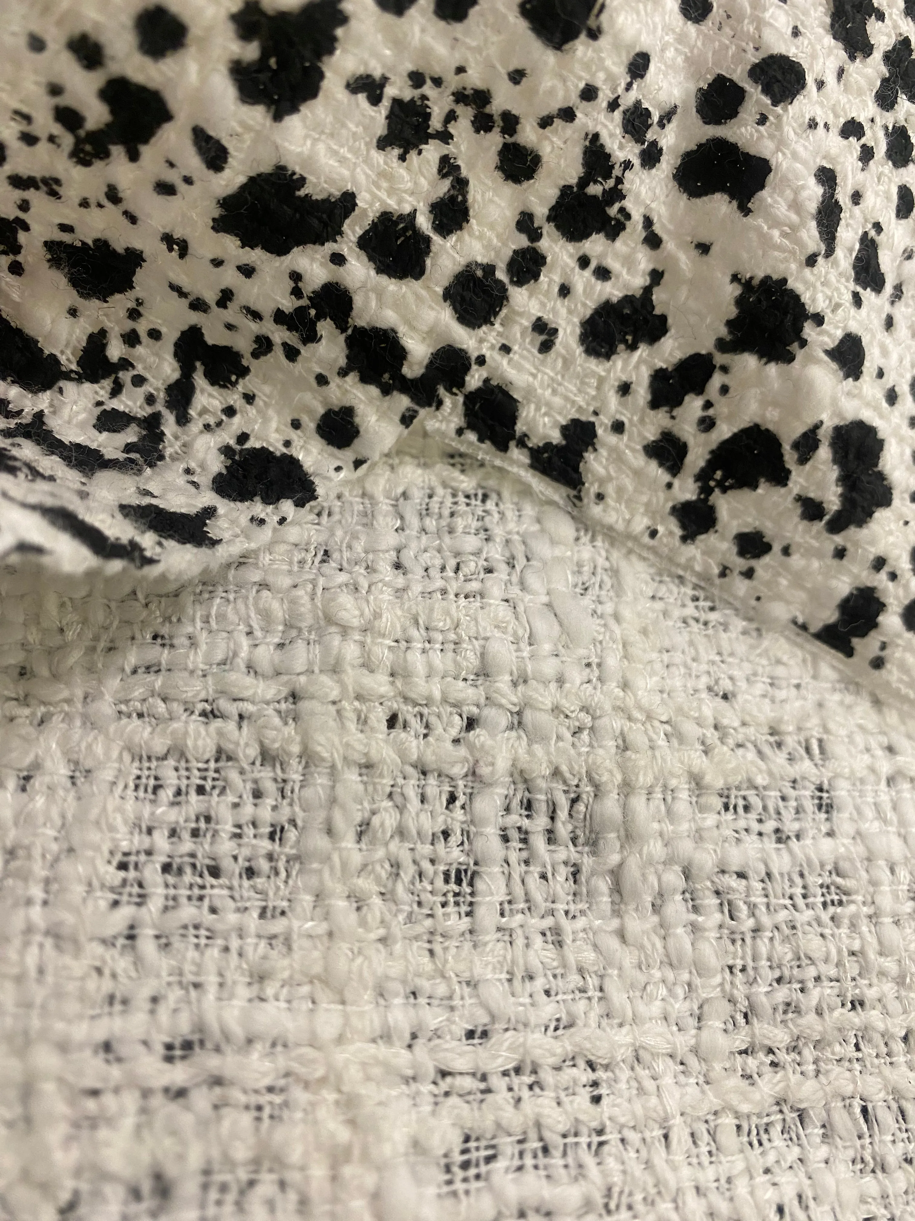 The Dalmatian
